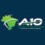 A10 TRANSPORTES