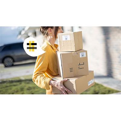 Colmeia Transportes 
