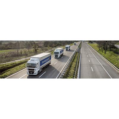 Transcortez Transportadora 