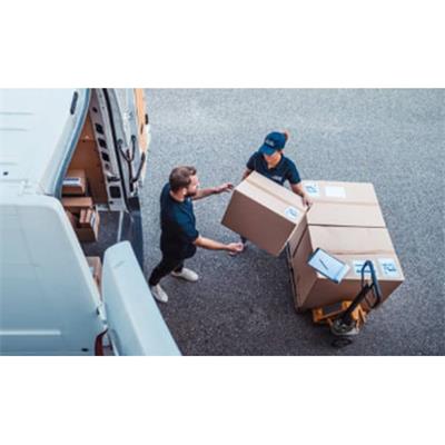 Transcortez Transportadora 