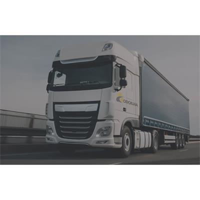 Rodoilha Transporte