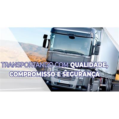TFE Transportes Federal Encomendas 