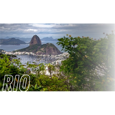 Transfreitas 